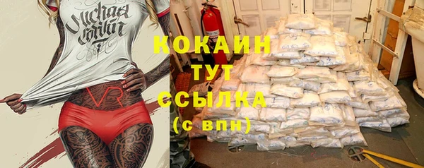mdpv Новозыбков